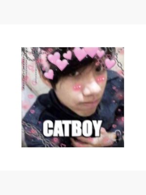 catboy cuddle pillow