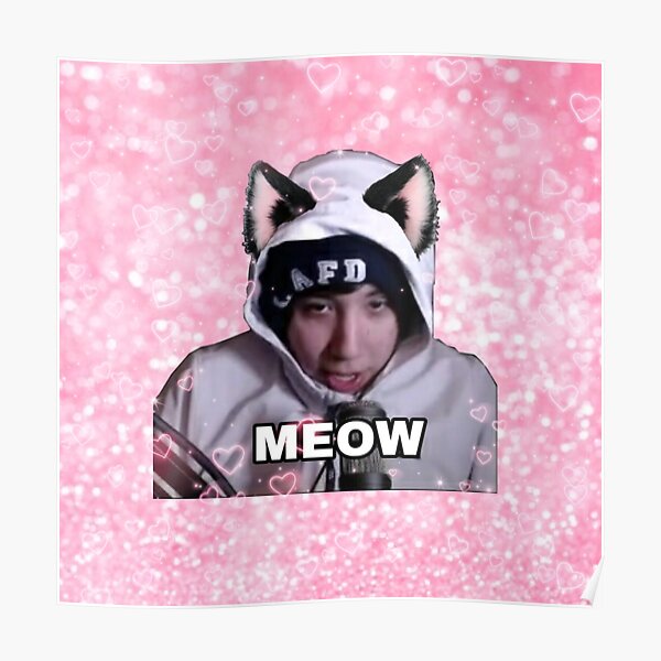 Quackity catboy meow Poster RB2905 product Offical Quackity Merch